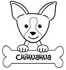 CHIHUAHUA   (Internet Image) 